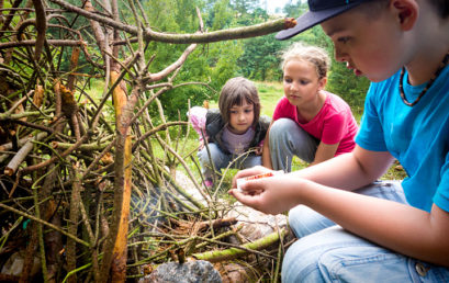 Forest School First Aid